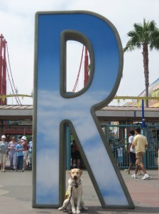 IMG_3183 The T is Silent